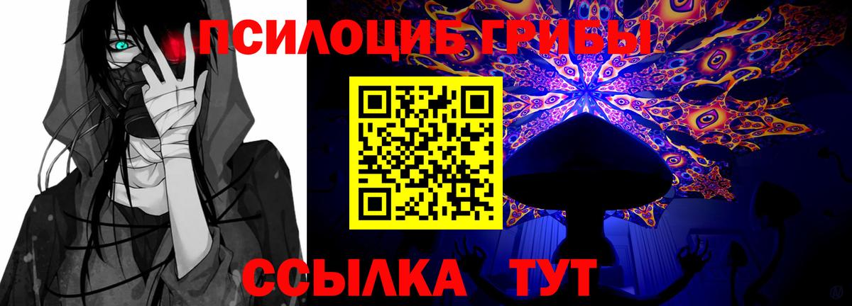 Псилоцибиновые грибы Magic Shrooms  купить наркоту  Псилоцибиновые грибы Psilocybine cubensis  Ржев  Вход с VPN 